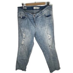 Torrid Boyfriend Distressed jeans sz20